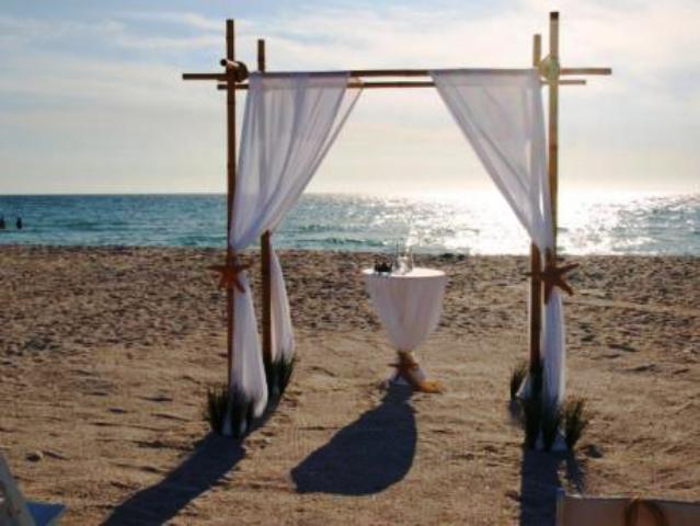 Bamboo Canopy for your beach or outdoor wedding